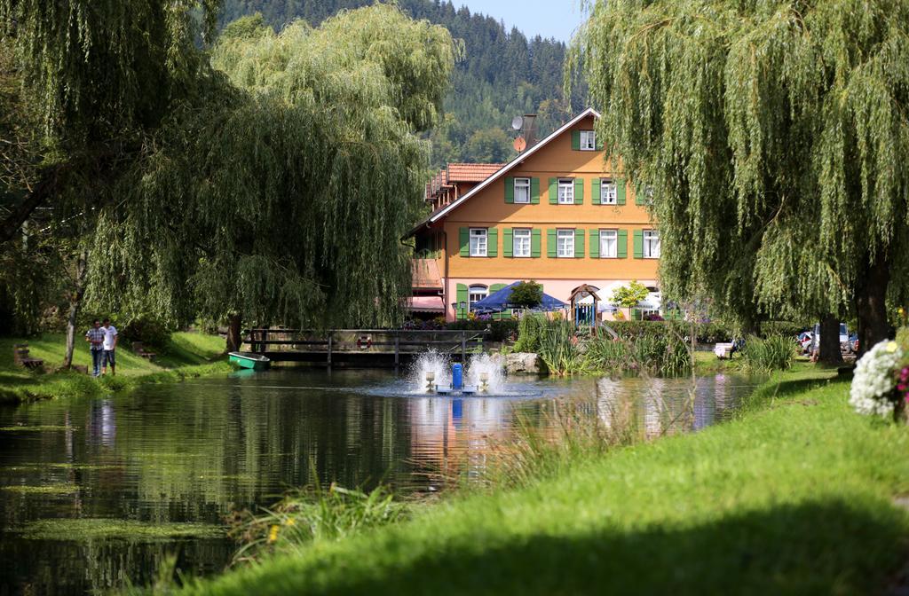 Hotel Zur Alten Muehle Ноєнбюрг Екстер'єр фото